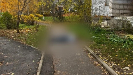 На Верхней Дуброве во Владимире мужчина разбился при падении с пожарной лестницы