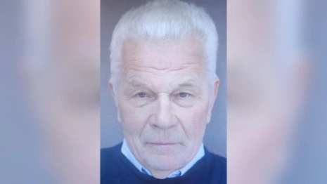 Во Владимирской области пропал 81-летний дедушка