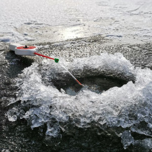 Владимирские рыбаки стали лучшими в ловле на мормышку