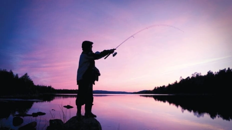 В Ковровском районе нашли труп пропавшего рыбака