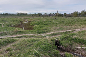 В Суздале на Ильинском лугу сливали канализацию