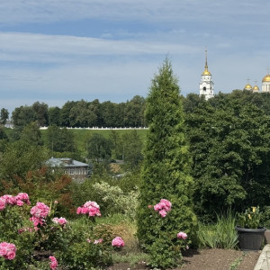 Прогноз погоды во Владимирской области на 18 июля 2025 года