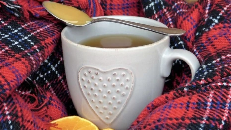 Владимирские санврачи подтвердили у пациентов 83 случая ковида