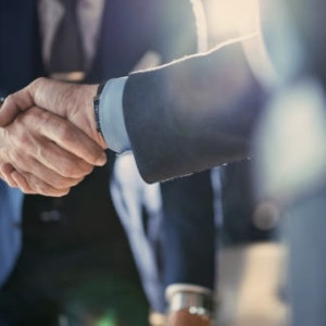 Бизнесмены из Египта и ОАЭ будут сотрудничать с предприятиями Коврова