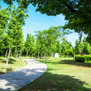 Прогноз погоды во Владимире и области на 28 мая