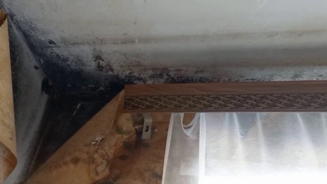 Плесень захватила квартиру семьи с 4 маленькими детьми