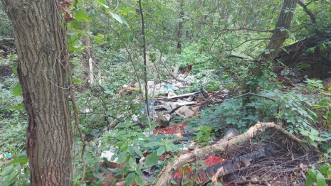 В Петушинском районе ликвидировали свалку 