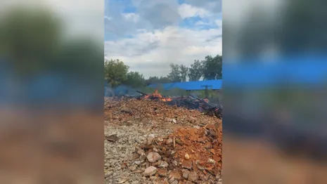 Во Владимирской области мощный пожар охватил свалку