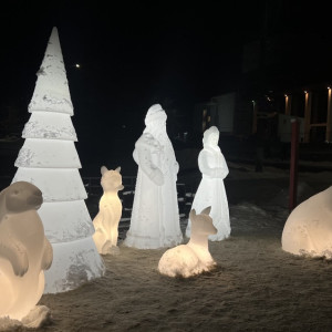 Во Владимире появился новый светящийся арт-объект