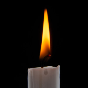 В зоне СВО погиб 39-летний доброволец из Собинки