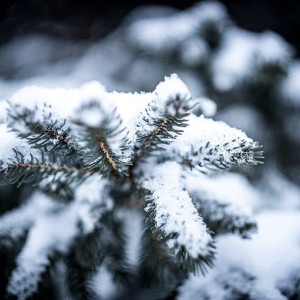 Прогноз погоды во Владимирской области на 3 декабря