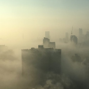 Санврачи рассказали о качестве воздуха после лесных пожаров во Владимирской области  