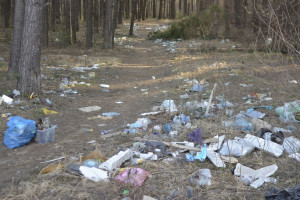 Во Владимирской области тропинка в лес превратилась в мусорную свалку