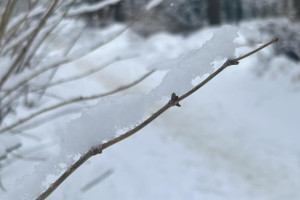 Прогноз погоды во Владимирской области на 21 января 2026 года