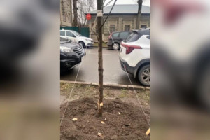 Во Владимире вандалы омрачили новогоднюю атмосферу