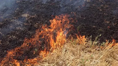 Во Владимирской области 11 пожаров выжгли 18 га сухой травы