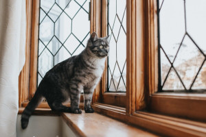 23 день Великого поста: что можно и нельзя 9 апреля