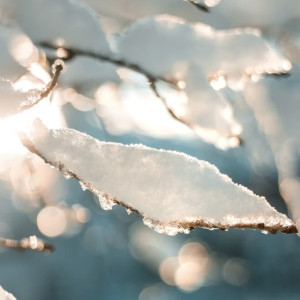 Во Владимирскую область придет потепление и 5-балльная магнитная буря