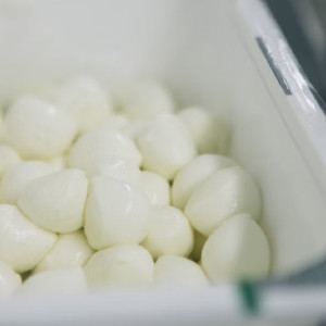 Во Владимирской области нашли качественную моцареллу