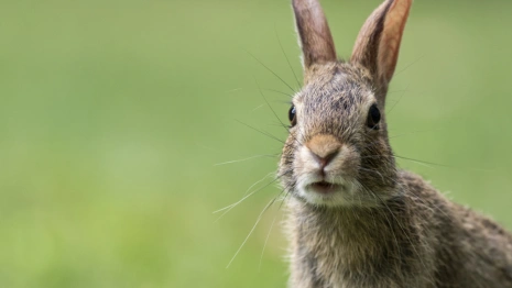 Феофан Милостивый: что можно и нельзя делать 12 октября