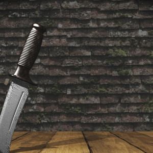 Житель Ленинградской области получил 12 лет за жестокое убийство женщины в Камешково