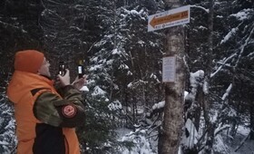 В лесах Владимирской области появятся стрелки-указатели для потеряшек