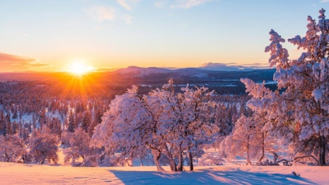 Прогноз погоды во Владимире и области на 26 января 2026 года