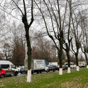 Во Владимире в мертвой пробке встал оживленный проспект