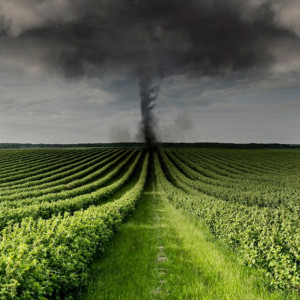 Во Владимирской области спрогнозировали возникновение смерчей