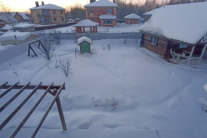 Принесший снегопад во Владимирскую область циклон Ольга назвали в Германии