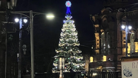 Новогодняя ночь во Владимире: программа, салют, расписание транспорта