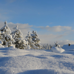 Синоптики спрогнозировали аномальную зиму во Владимире