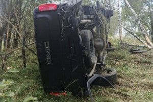 В Александровском районе 25-летний автомобилист попал в больницу после наезда на дерево