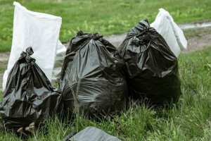 Во Владимирской области следящая за чистотой улиц машина выявила 97 нарушений