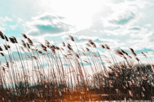 Во Владимирской области 3 апреля разбушуется ураган