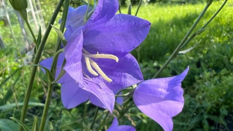 Во Владимирской области на первой рабочей неделе сентября сохранится жара