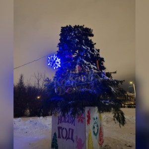 В Коврове «обезглавили» новогоднюю ель
