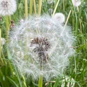 Прогноз погоды во Владимире и области на 2 июля