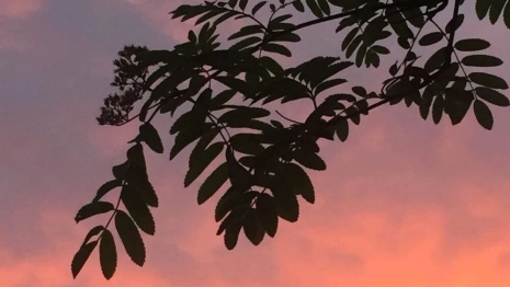 Епифаний Кипрский. Что можно и нельзя делать 25 мая