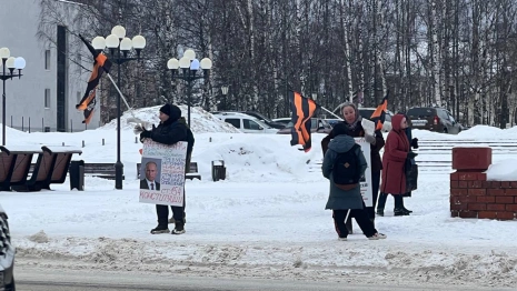 Активисты вышли с плакатами в центр Владимира