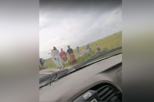 
Во Владимирской области машина вылетела с трассы в поле и перевернулась 