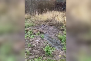 Жители Боголюбово пожаловались на слив сточных вод под окнами