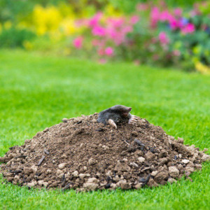 Фотя Поветенный: что можно и нельзя делать 25 августа