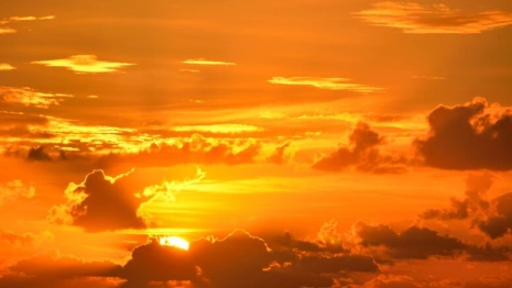 Во Владимирской области продлили предупреждение из-за сильнейшей жары