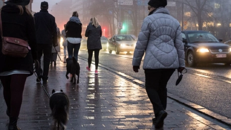 Во Владимирской области первые выходные осени будут аномально холодными