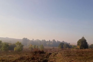 Запах гари добрался до Суздальского района