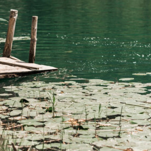 Стало известно, как подростка убило током во Владимирской области