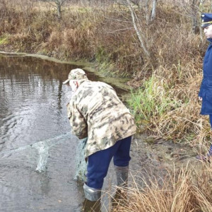 На озере во владимирском заказнике нашли запрещенные для вылова рыбы сети