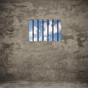 Во Владимирской области 2 завода и начальник колонии попали под санкции США