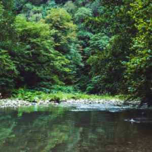 Во Владимире установили личность найденного мертвым у ДТЮ мужчины